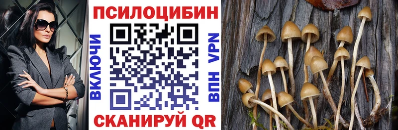 Псилоцибиновые грибы мухоморы  Павловская 